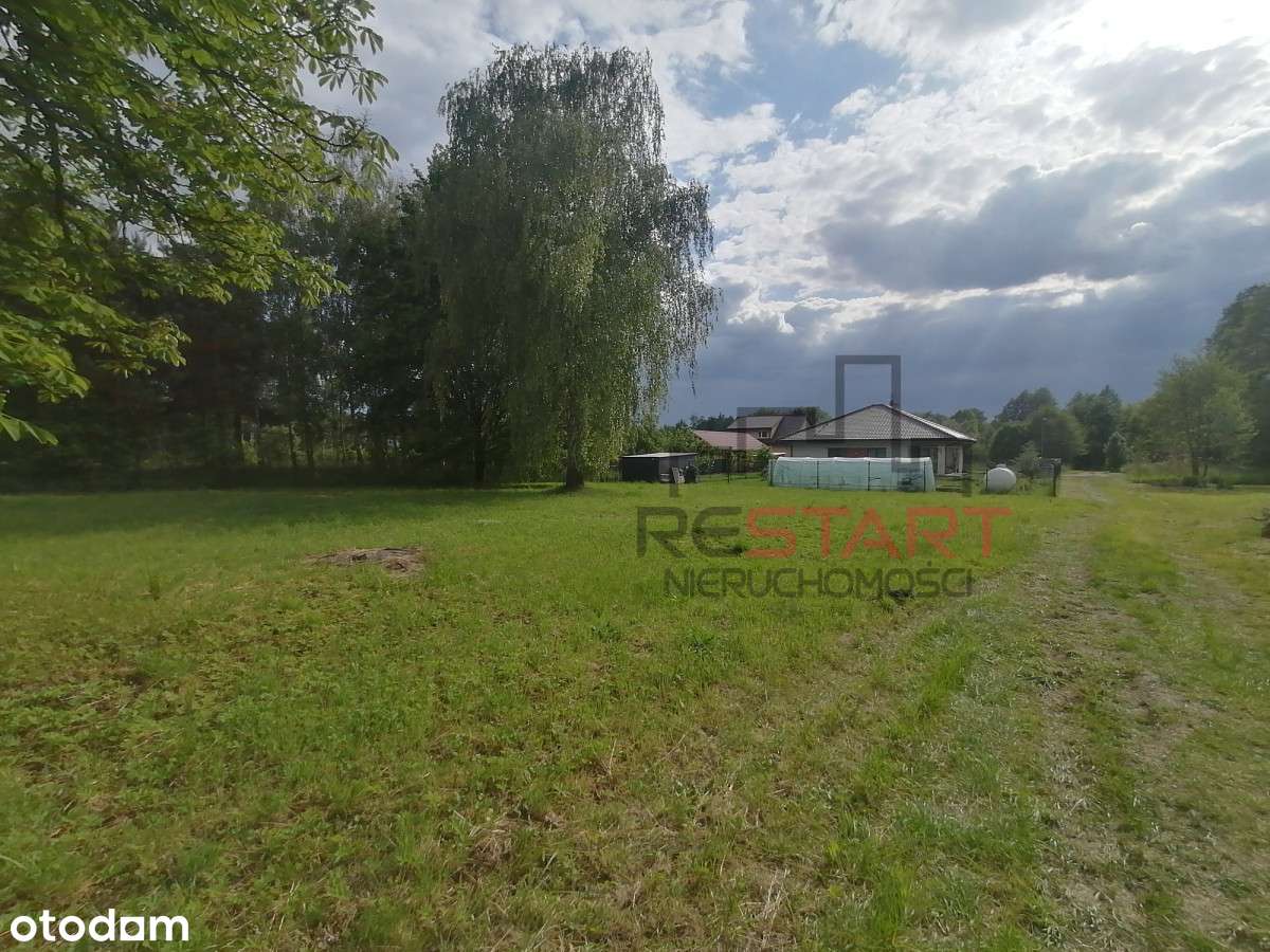 Działka budowlana Budy - Grzybek - Pełny obrazek: 4/9