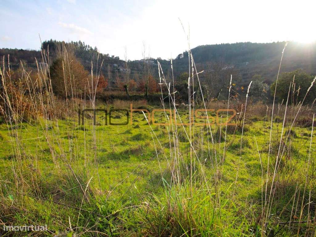 Quinta de 2ha com várias edificações - Terreno Plano-5