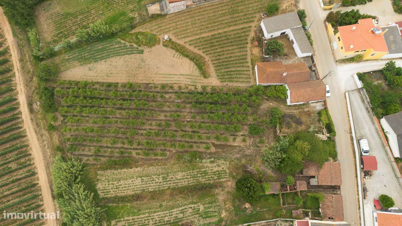Terreno misto com 2.573 m² | Barrocalvo, Carvalhal-10