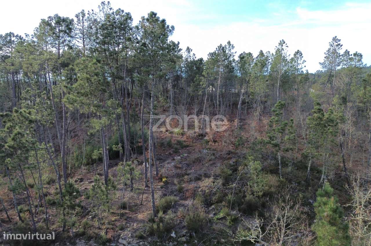 Terreno em Vale Do Bacelo - Almargem 1376m2 - Grande imagem: 2/19