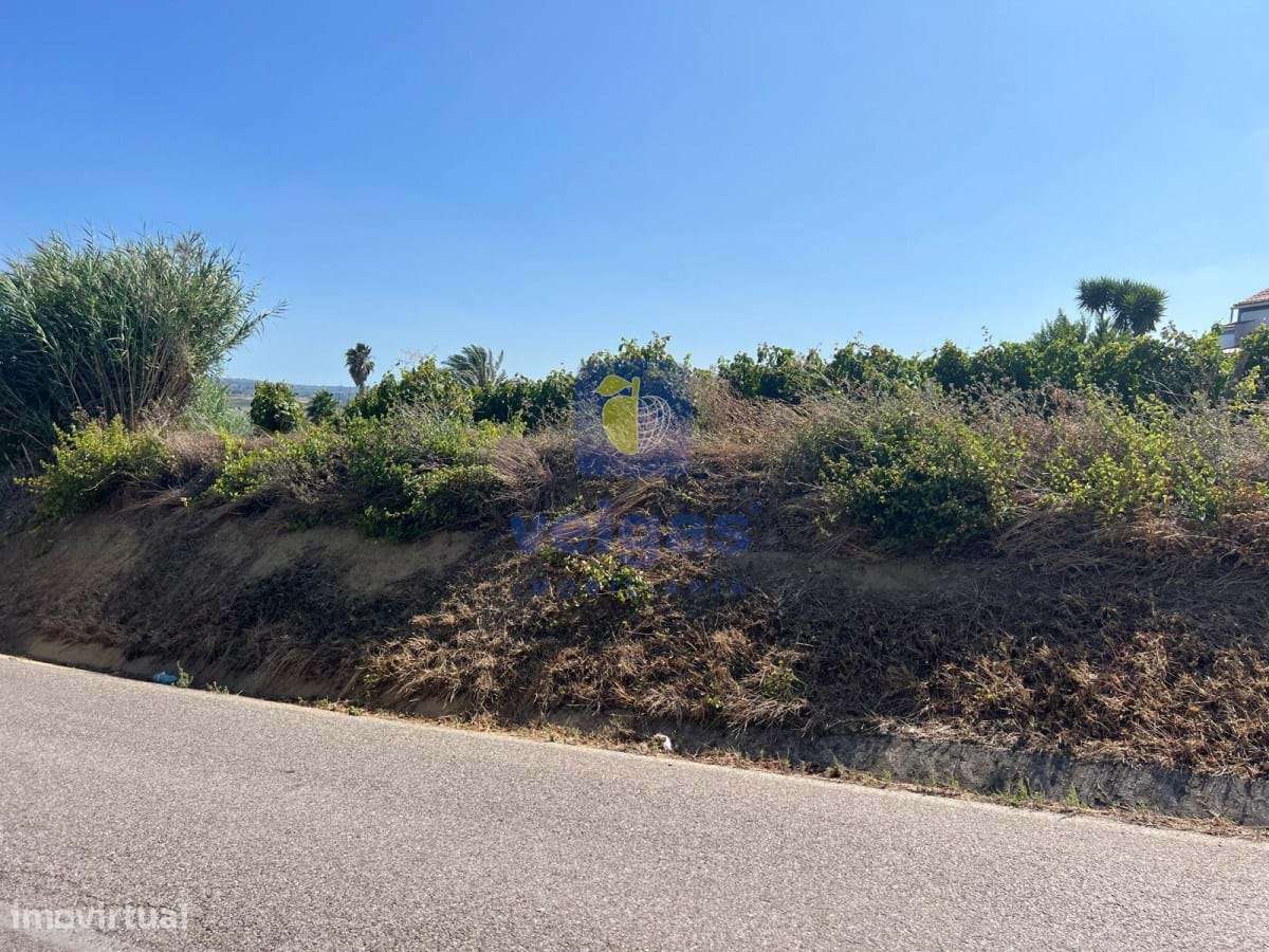 Terreno Ventosa - Grande imagem: 5/24