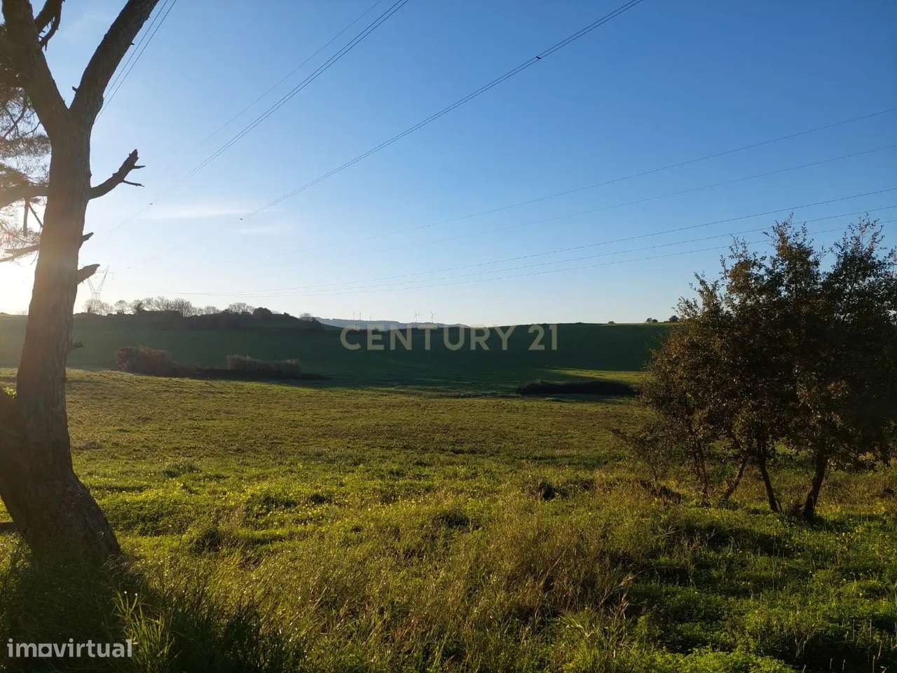 Quinta - 25 hectares-37