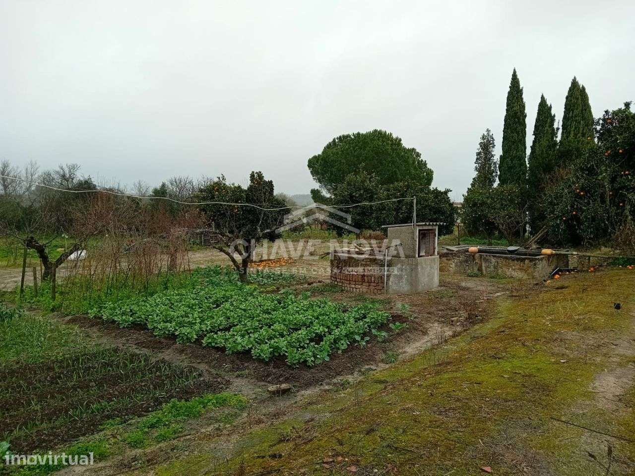 Uma verdadeira oportunidade, uma casa com 1,5 hectares de terreno.-15