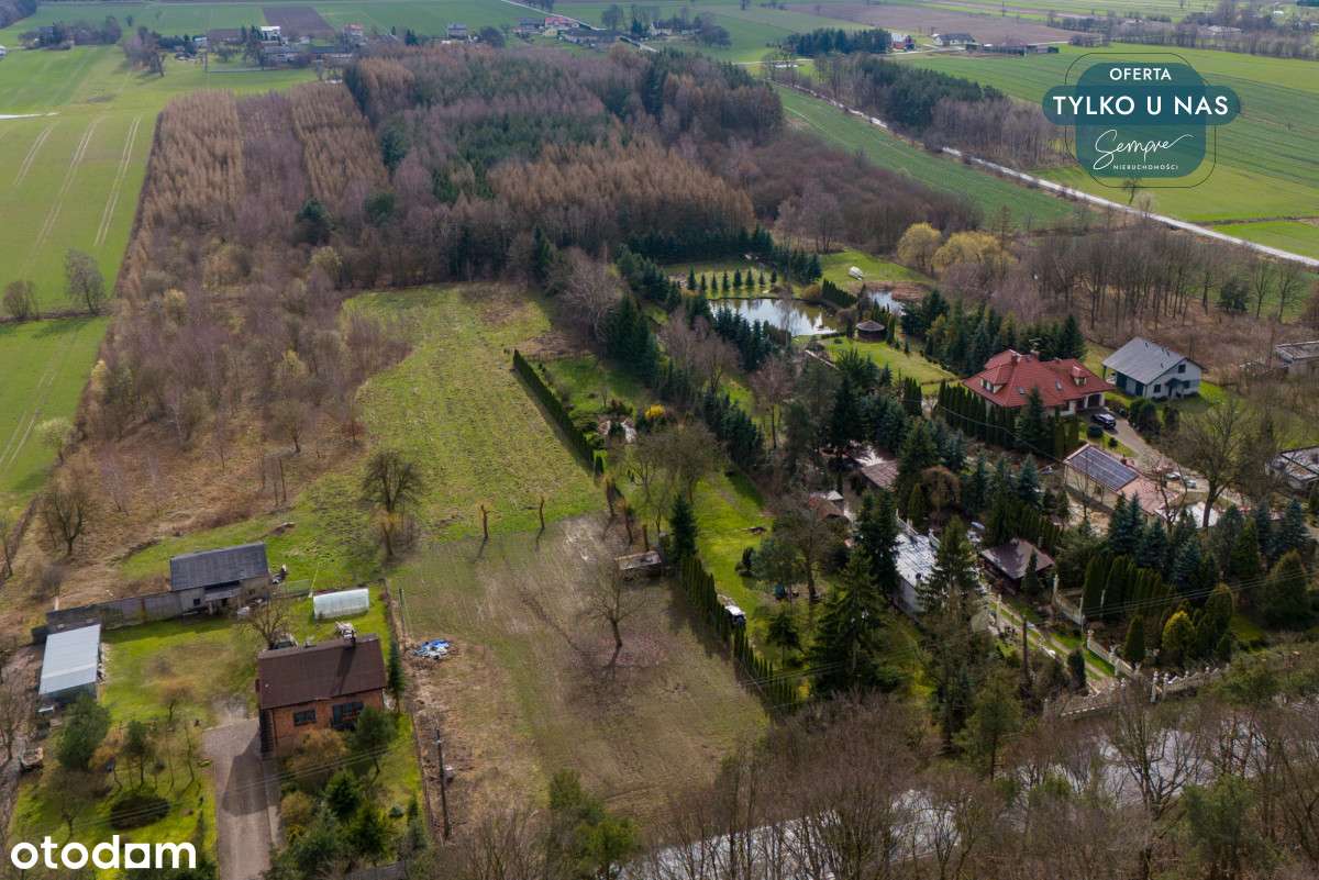 Działka z własnym lasem - Pełny obrazek: 4/16