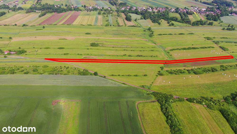 Działka rolna Poręba-Niwki-2