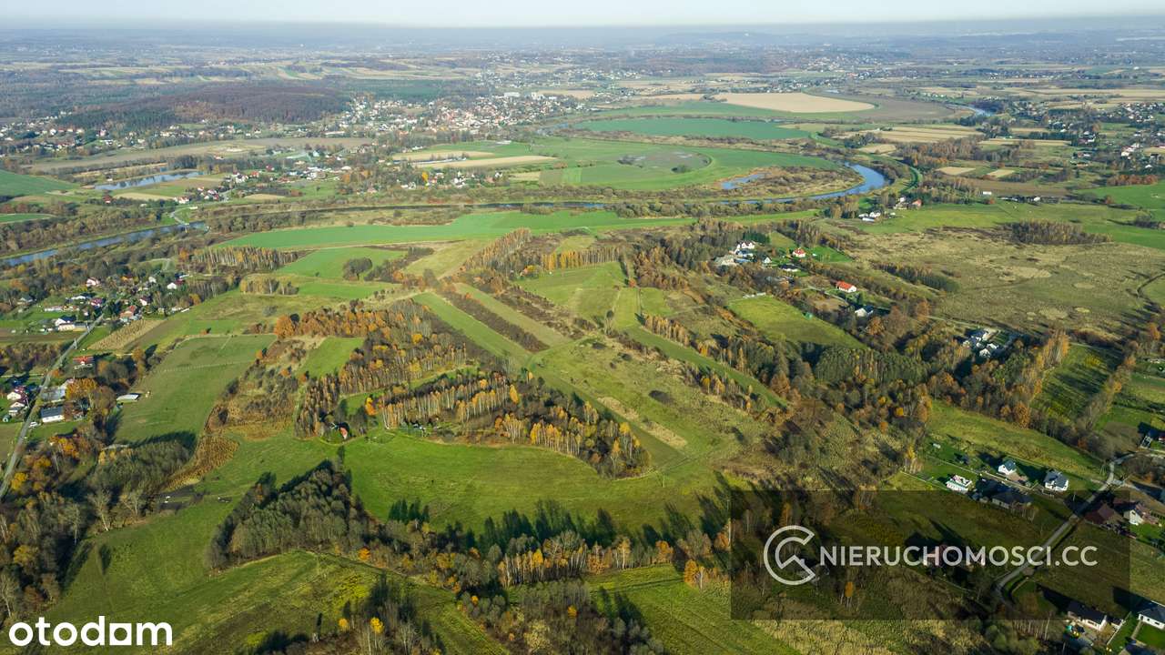 Jaśkowice działka budowlana 213ar - Inwestycyjna - Pełny obrazek: 5/17