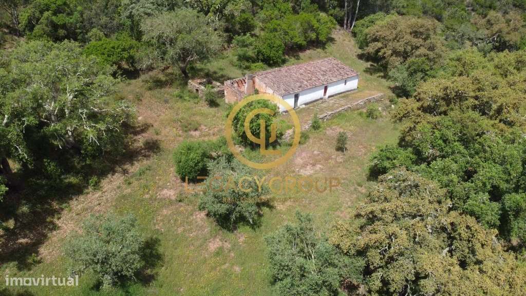 Quinta de 6 hectares perto de São Martinho das Amoreiras-7