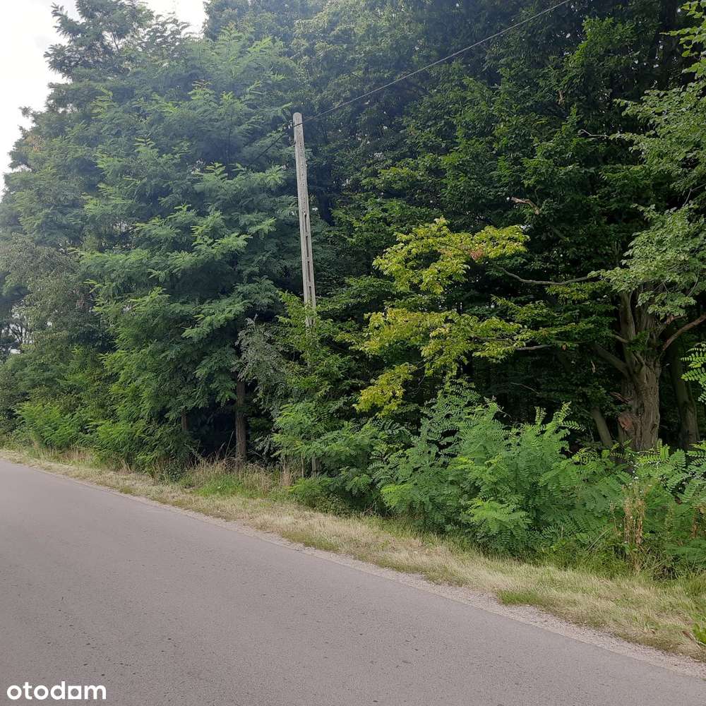 Działka budowlana Aleksandria, Puszcza Mariańska-7