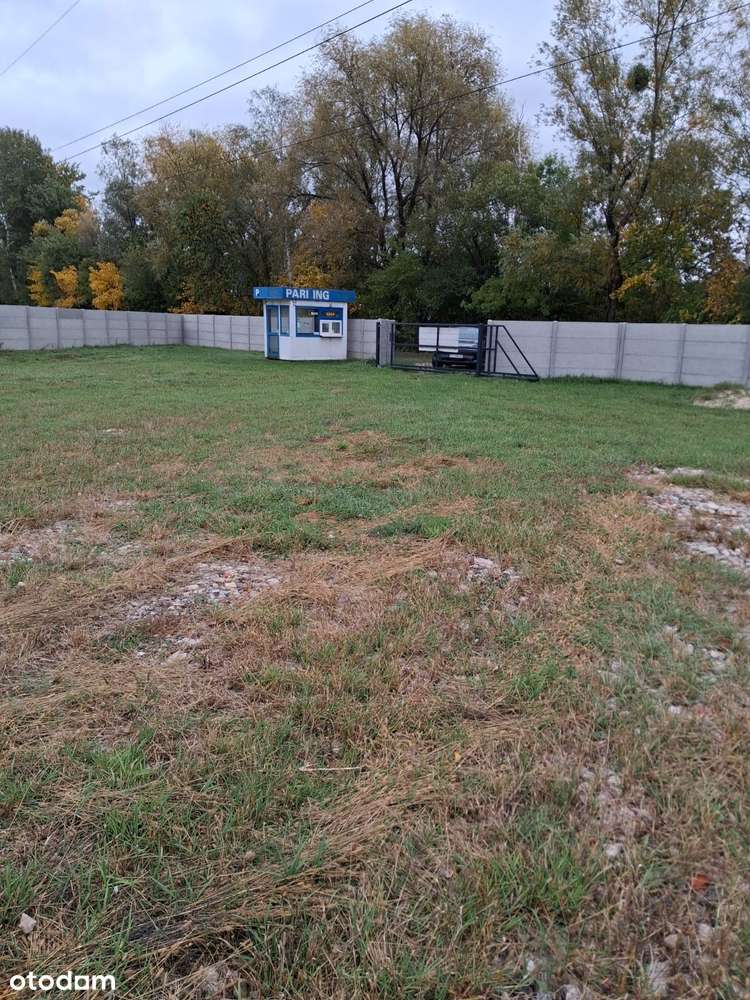 Wynajmę plac ogrodzony utwardzony Poznań - Pełny obrazek: 5/5