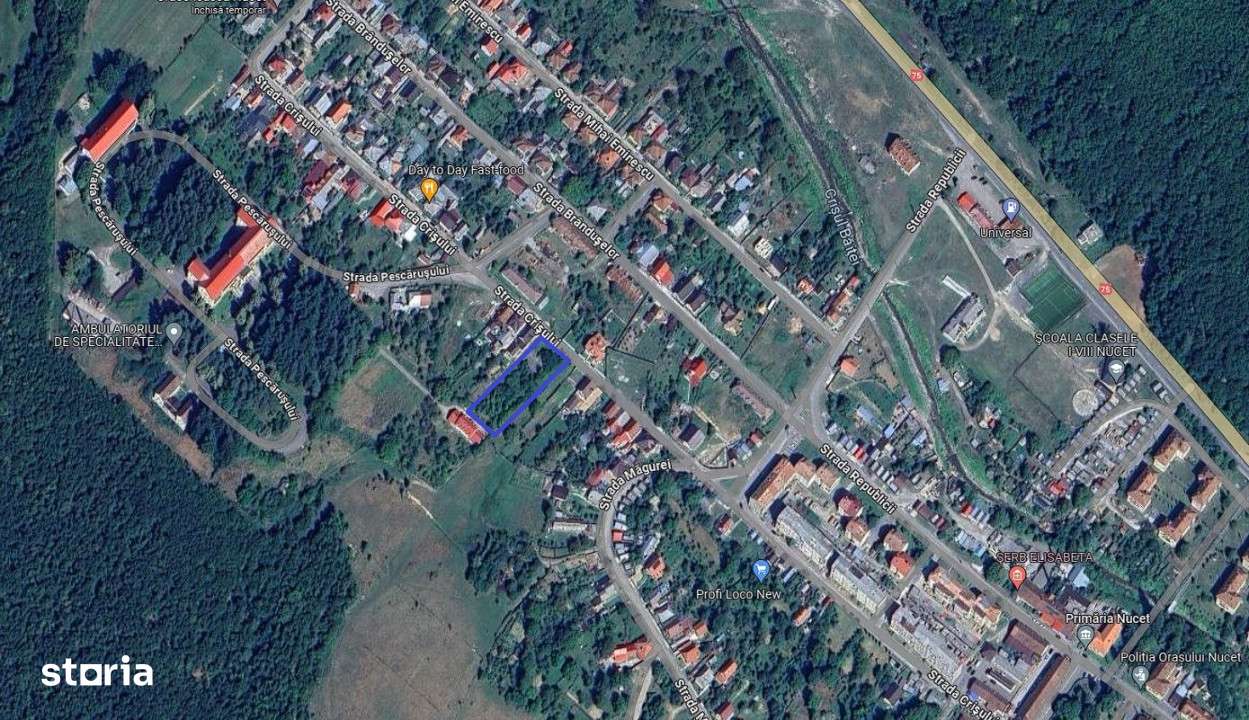 Teren intravilan + teren extravilan, suprafata totala 8.489 mp, Nucet - Imagine principală: 2/4