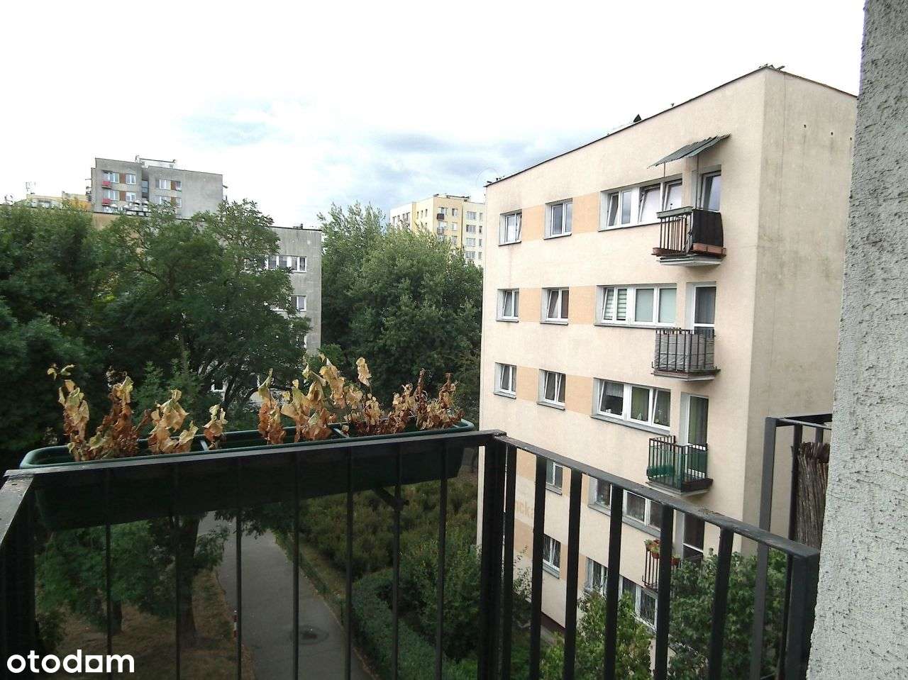 dwustronne, w dogodnej lokalizacji-6