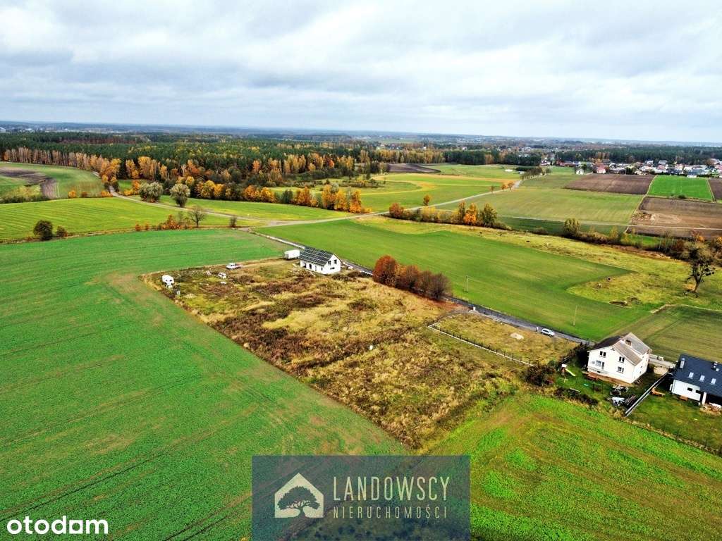 Koteże–działka na Spokojnej, cisza i blisko miasta - Pełny obrazek: 4/12