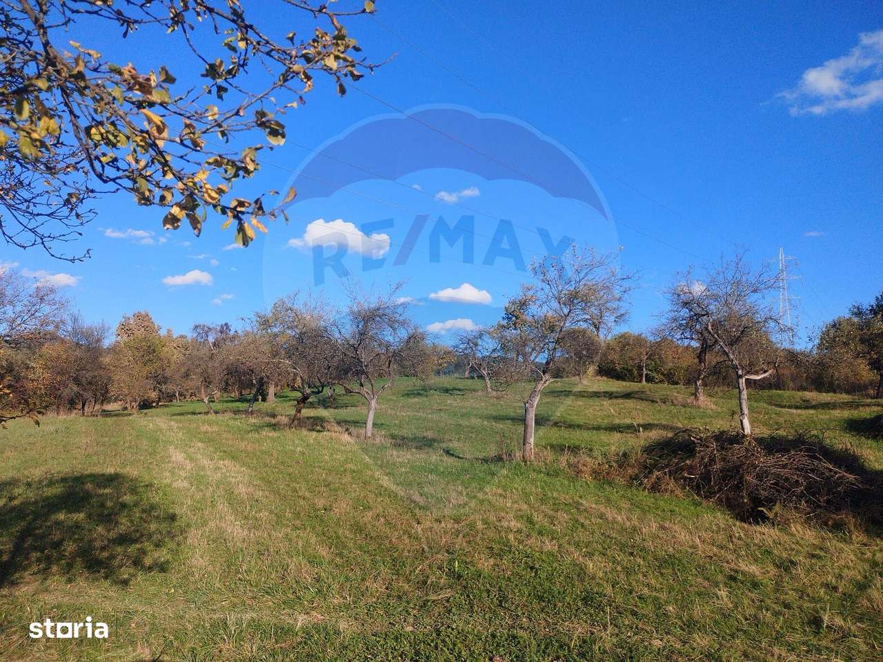 Teren zona superba Șișești - Imagine principală: 4/6