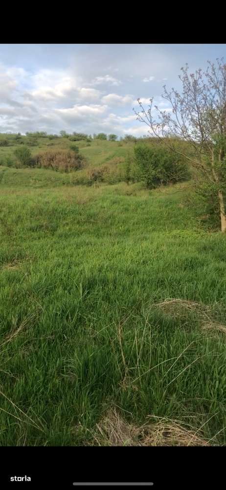 Teren Intravilan 6632 mp Dezmir - Vedere Panoramică Asupra Clujului - Imagine principală: 5/7