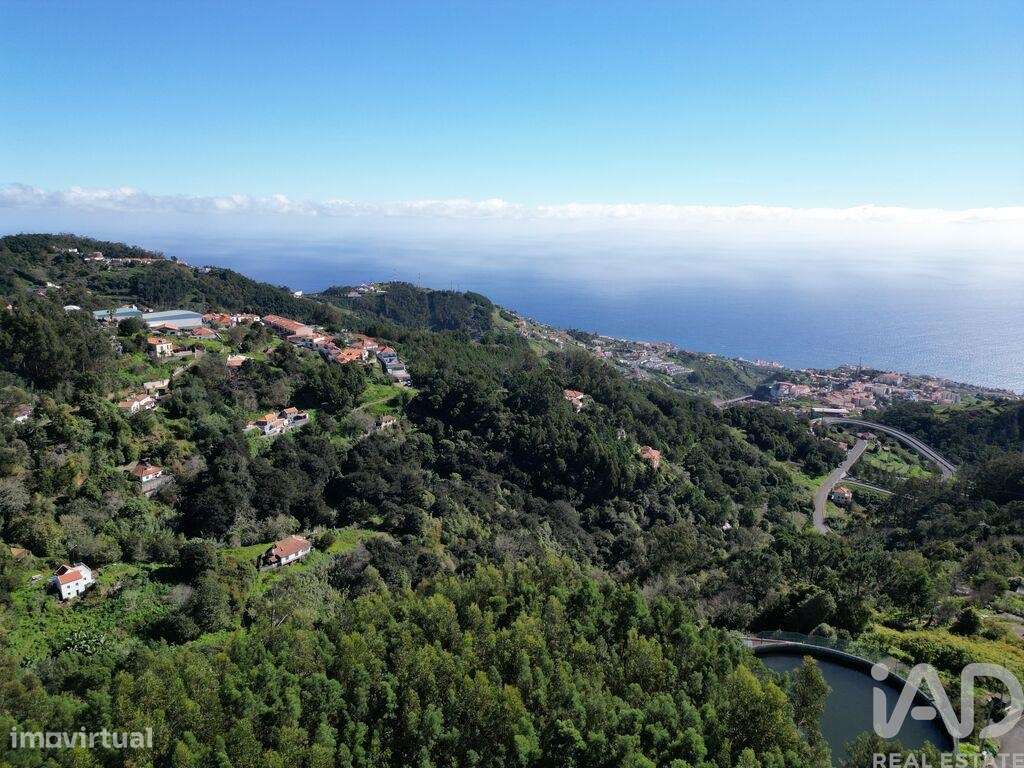 Terreno em Caniço de 1490,00 m2 - Grande imagem: 4/14