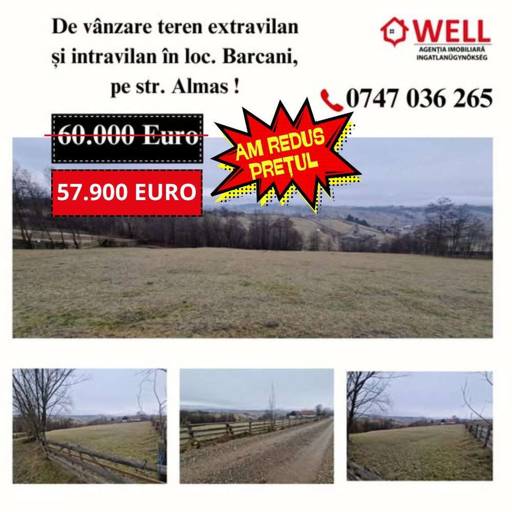 De vânzare teren extravilan și  intravilan  în loc. Barcani - Imagine principală: 1/11