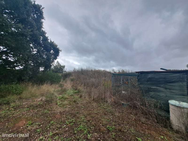 TERRENO EXCLUSIVO NA ZIBREIRA – A SUA CASA DE SONHO COMEÇA AQUI! - Grande imagem: 5/29