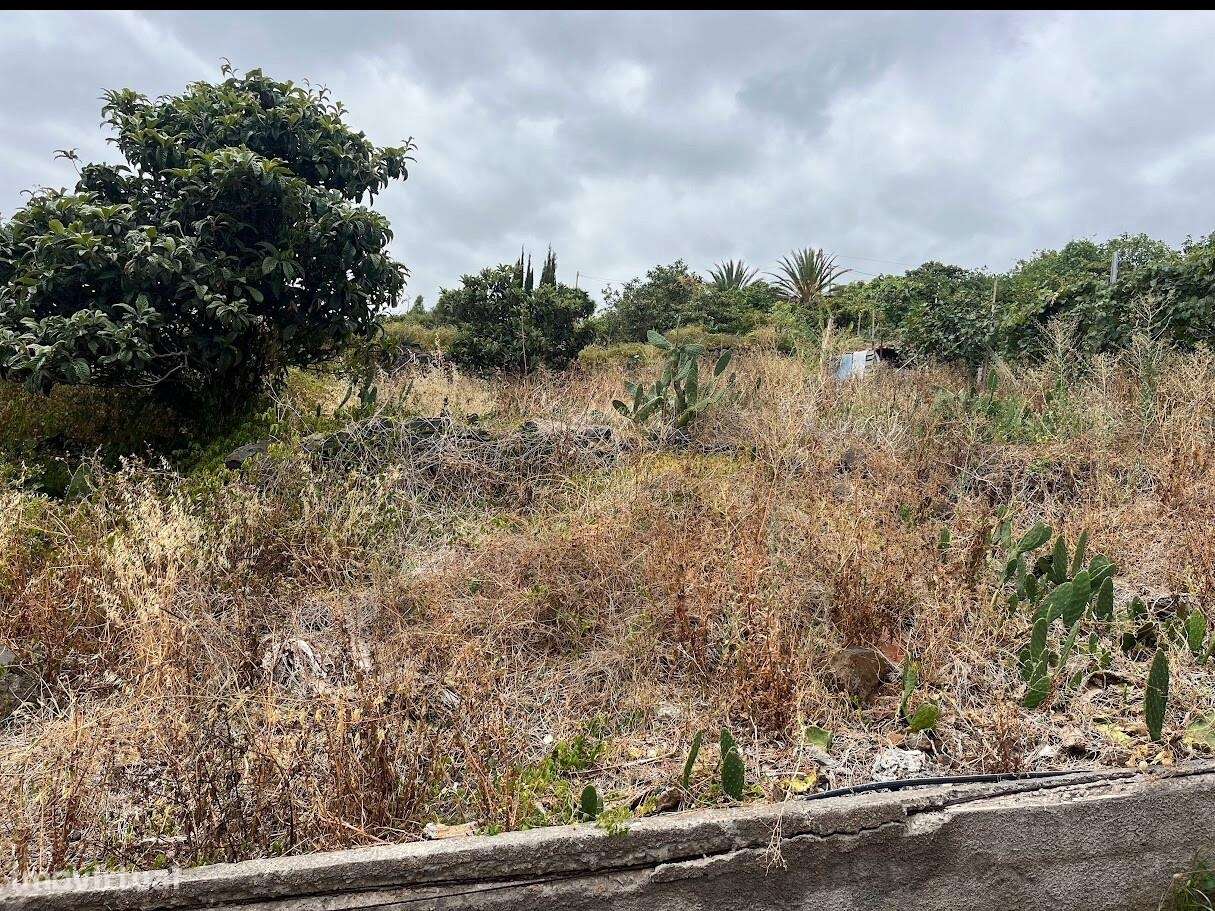 Terreno em Gaula I Construa a sua casa de Sonho-8
