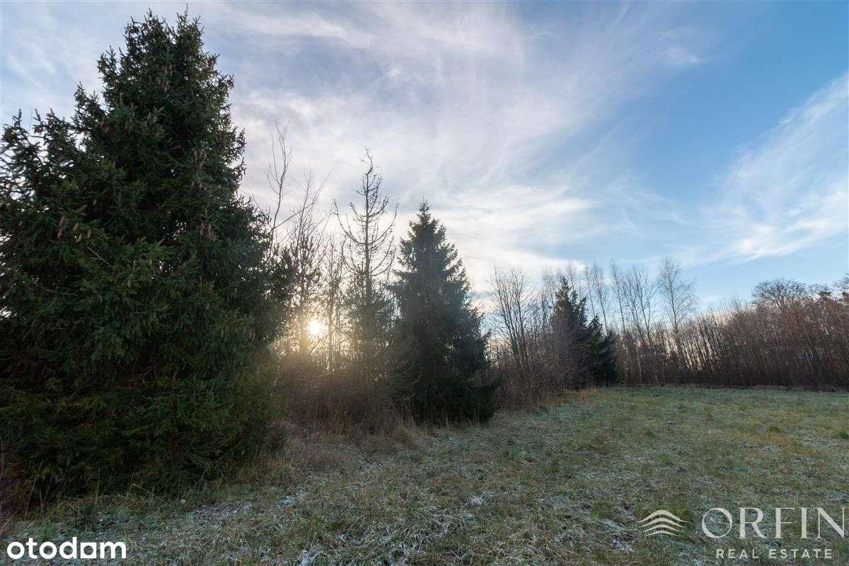 Łapino Kartuskie działka blisko jeziora i Gdańska - Pełny obrazek: 4/6