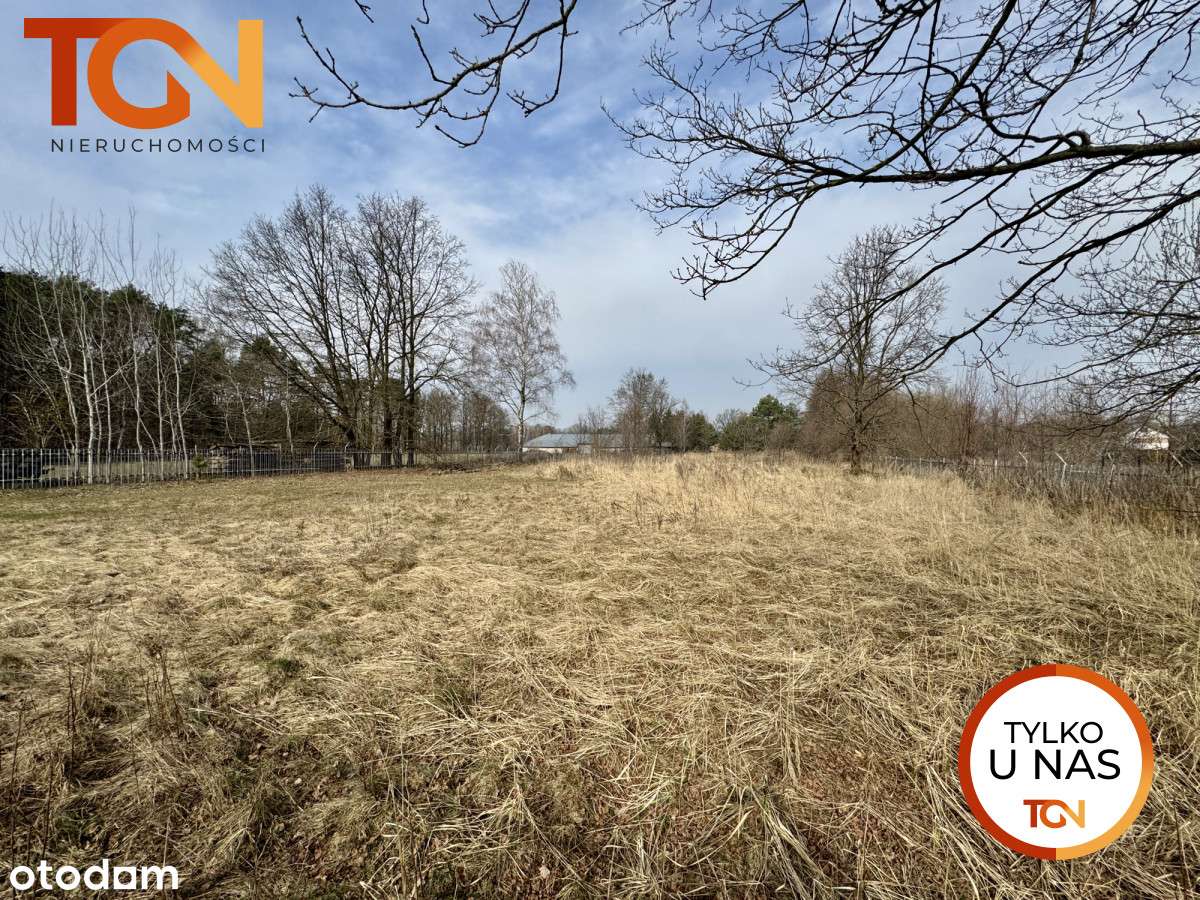 Duża działka na Teofilowie - Pełny obrazek: 4/7