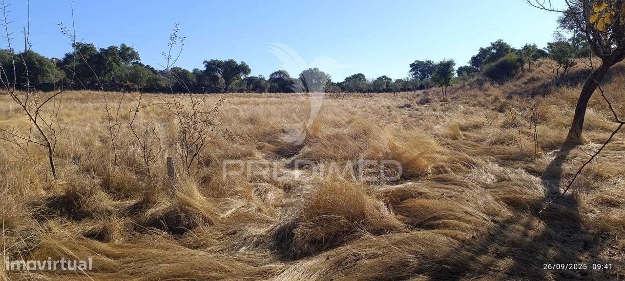 ? Terreno Rústico à Venda – Com Árvores de Fruto, Apoio Agrícola e... - Grande imagem: 4/25