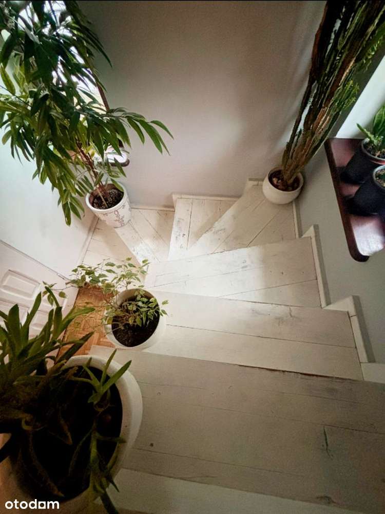 Dom w okolicy Lasu Arkońskiego-4