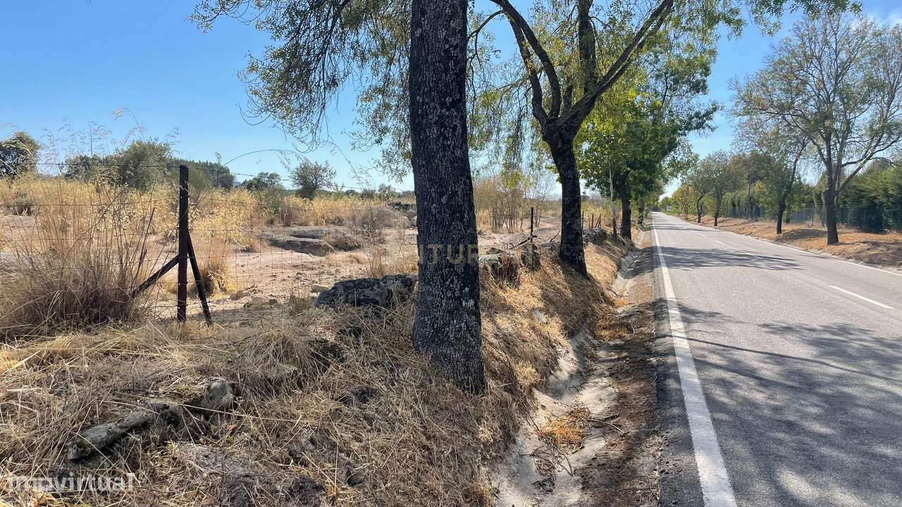 Terreno rústico | Castelo Branco - Grande imagem: 3/10