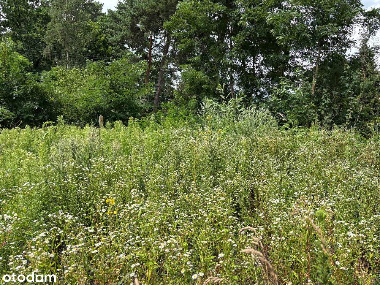 Działka budowlana Izabelin, wszystkie media - Pełny obrazek: 5/5