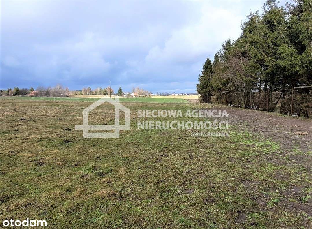 Działka budowlana pod lasem Hopowo - Pełny obrazek: 4/8