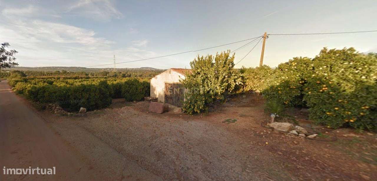 Terreno com 6 hectares e armazém de apoio - Grande imagem: 3/3