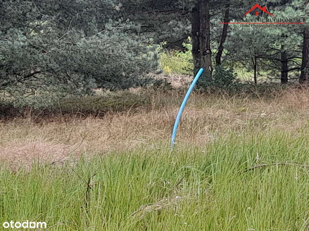 Dwie piękne działki w Gutowie-5
