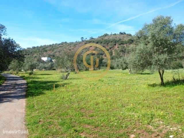 Terreno Rustico situado em Querença-Loulé