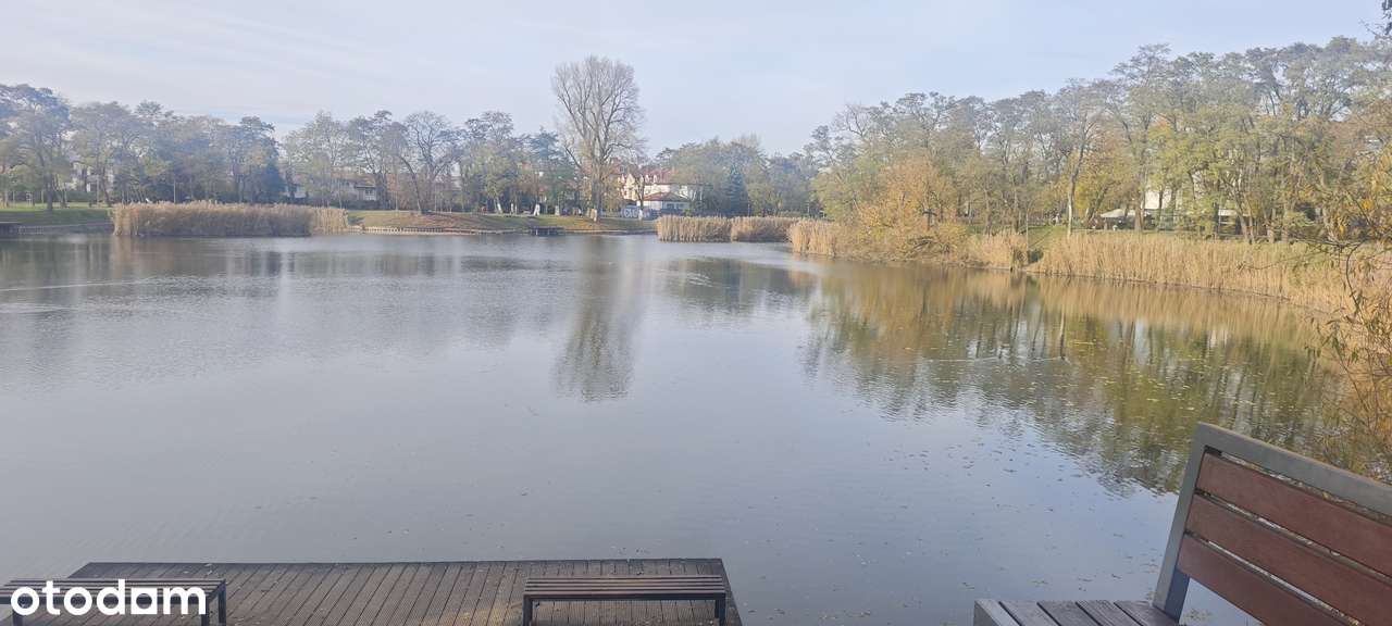 Ładne mieszkanie przy Parku-18