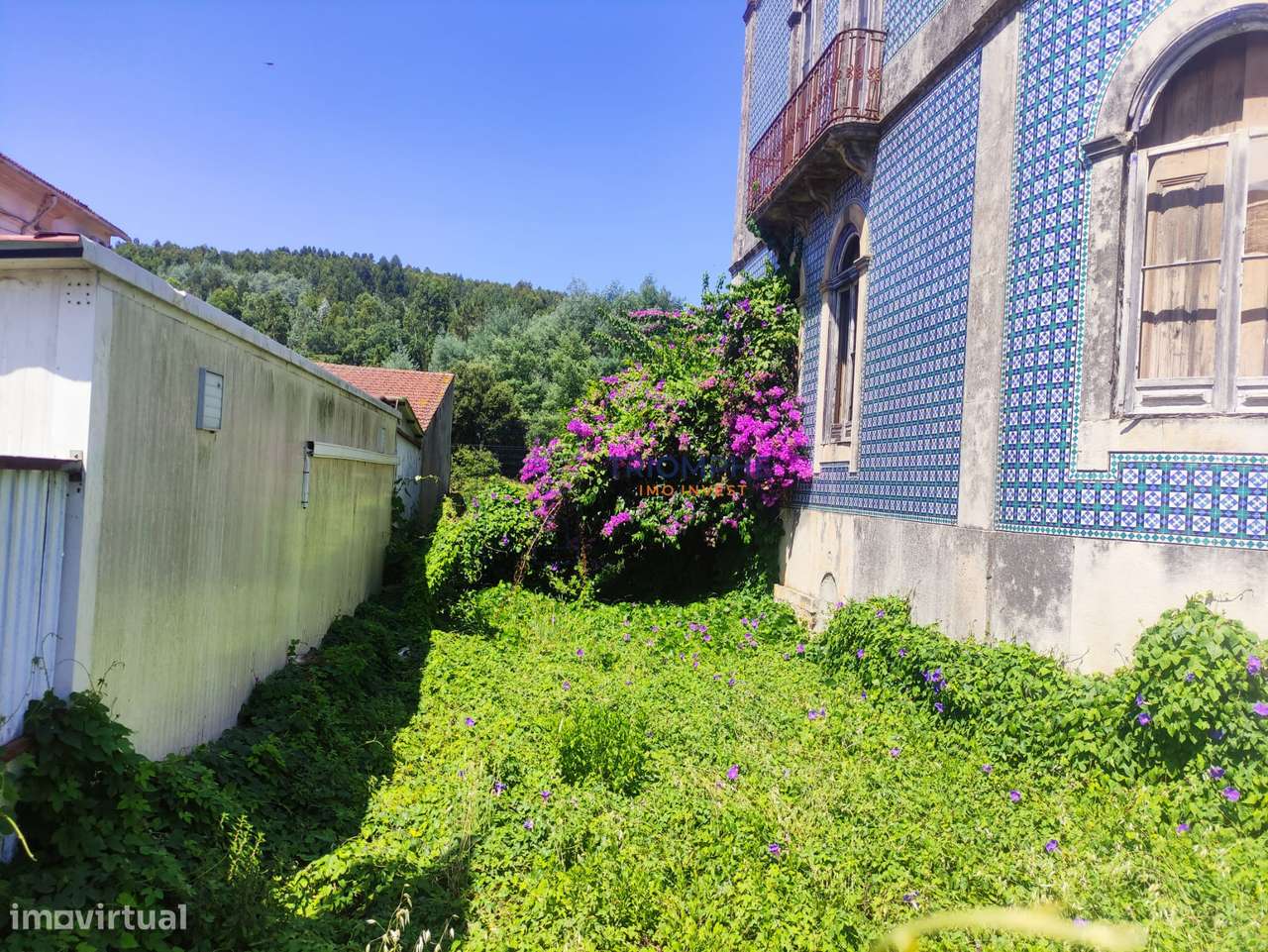 Quinta para Recuperar - Potencial de Investimento - Alvaiázere - Grande imagem: 5/23