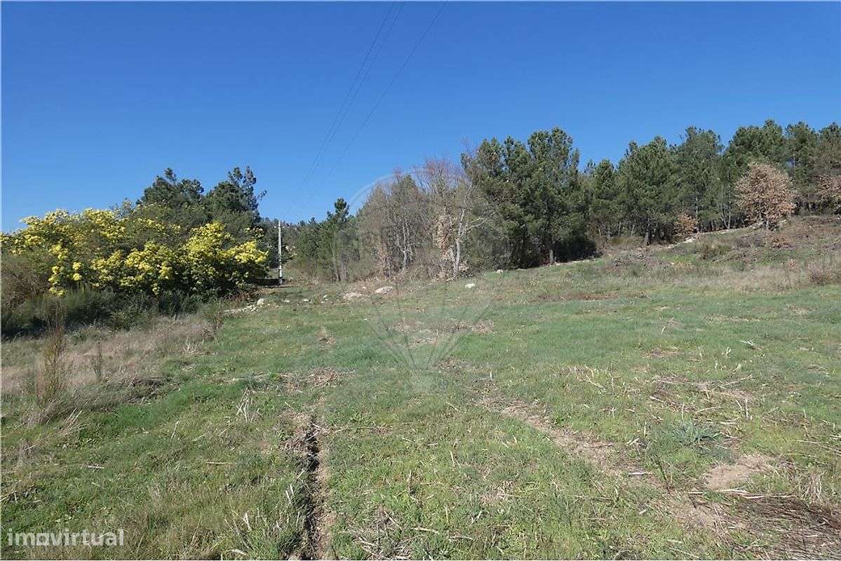 Terreno - Rossas - Ferreirim - Grande imagem: 4/7