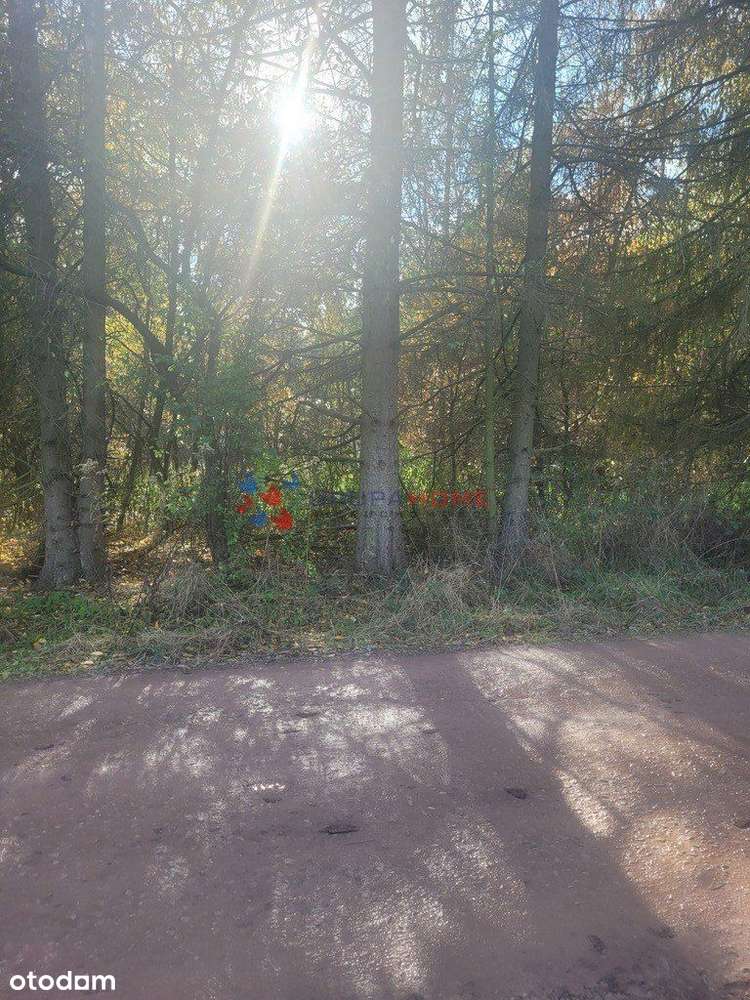 Działka, 1 800 m², Magdalenka - Pełny obrazek: 5/6