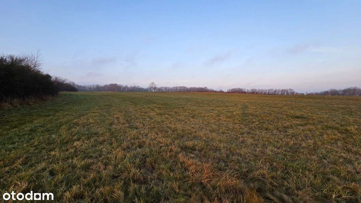 Na sprzedaż działka w miejscowości Młynary-5
