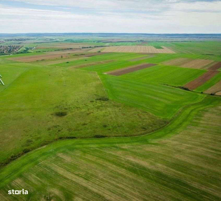 Teren agricol 5ha Giarmata langa Antena Radar - Imagine principală: 4/5