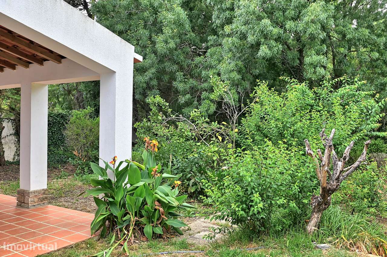 Quinta com 3200 m², LINHÓ - SINTRA-16