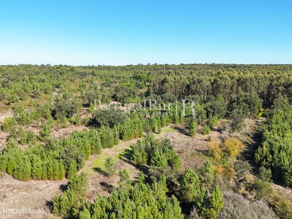 Quinta de 20ha com projeto para Turismo Rural a 1h de Lisboa-41