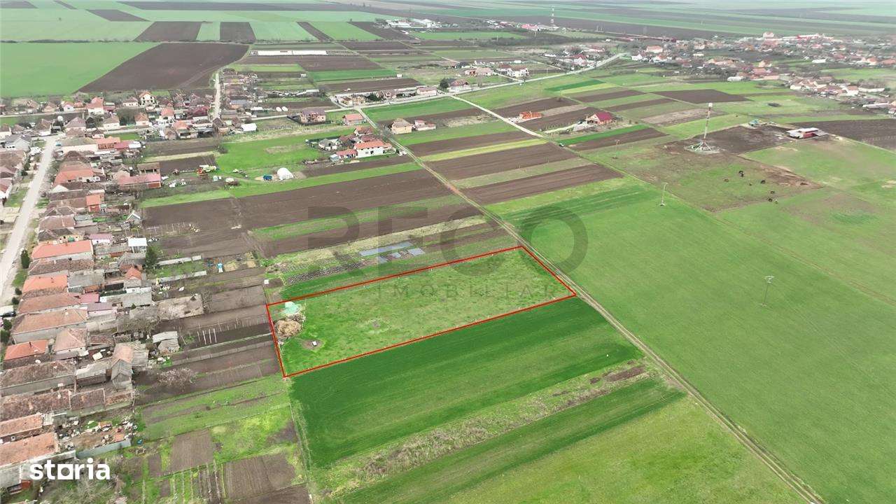 RECO Teren intravilan Girisu de Cris - Imagine principală: 1/5