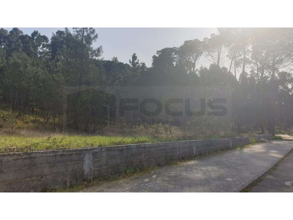 Espaçoso terreno para venda a 3 Km do centro de Oliveira do Bairro - Grande imagem: 4/21