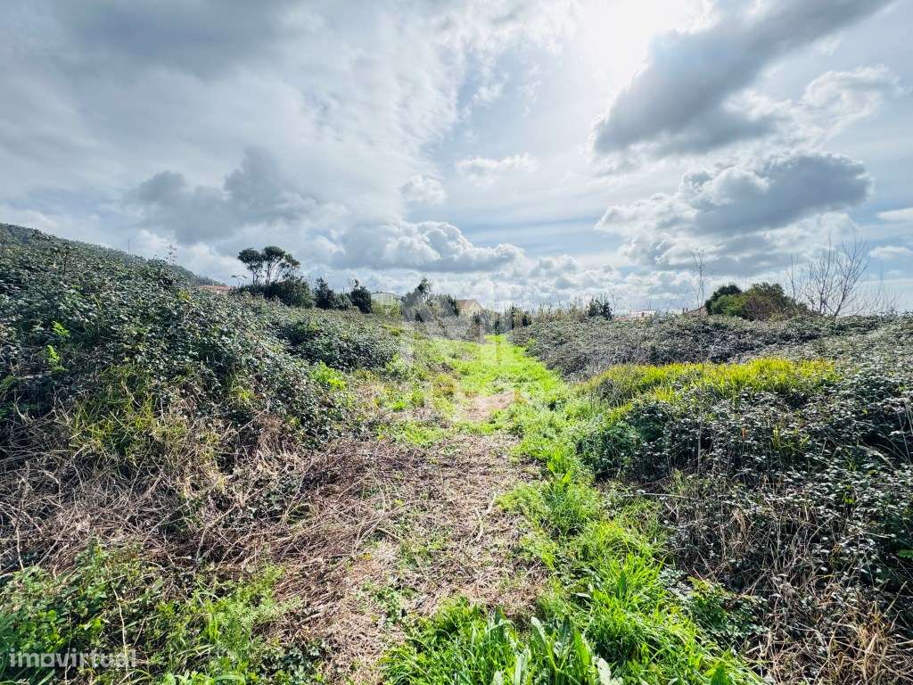 Terreno para venda em Castelo de Neiva - Viana do Castelo - Grande imagem: 5/12