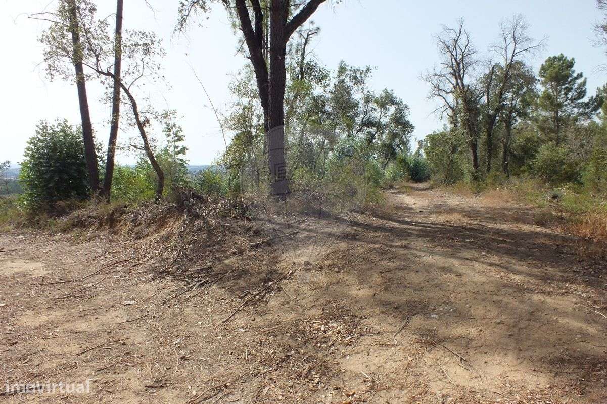 Terreno  para venda - Grande imagem: 4/5