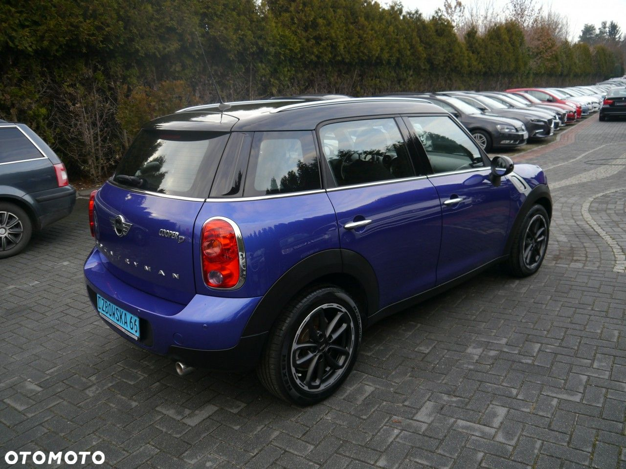 MINI Countryman Cooper D - 5