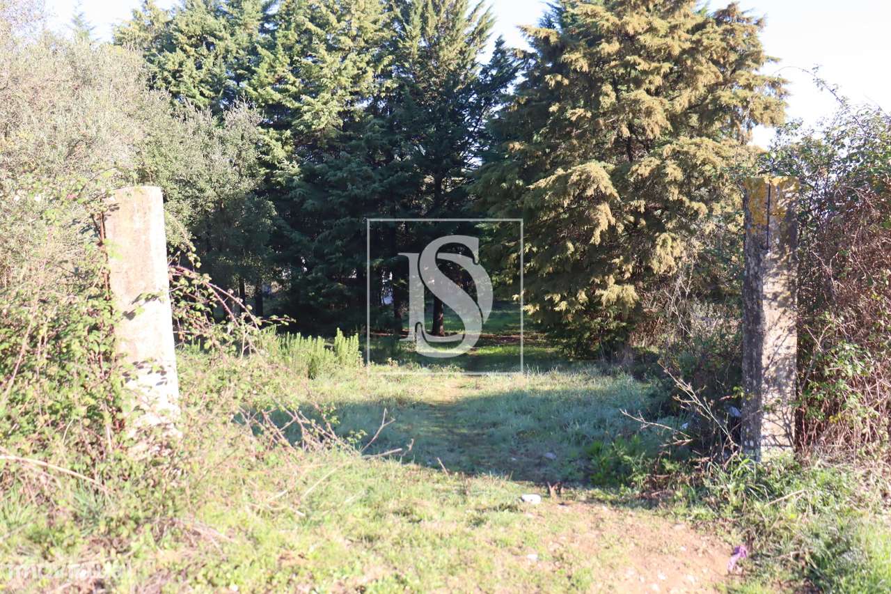 Terreno  Venda em Abrantes (São Vicente e São João) e Alferrarede,Abra - Grande imagem: 5/22