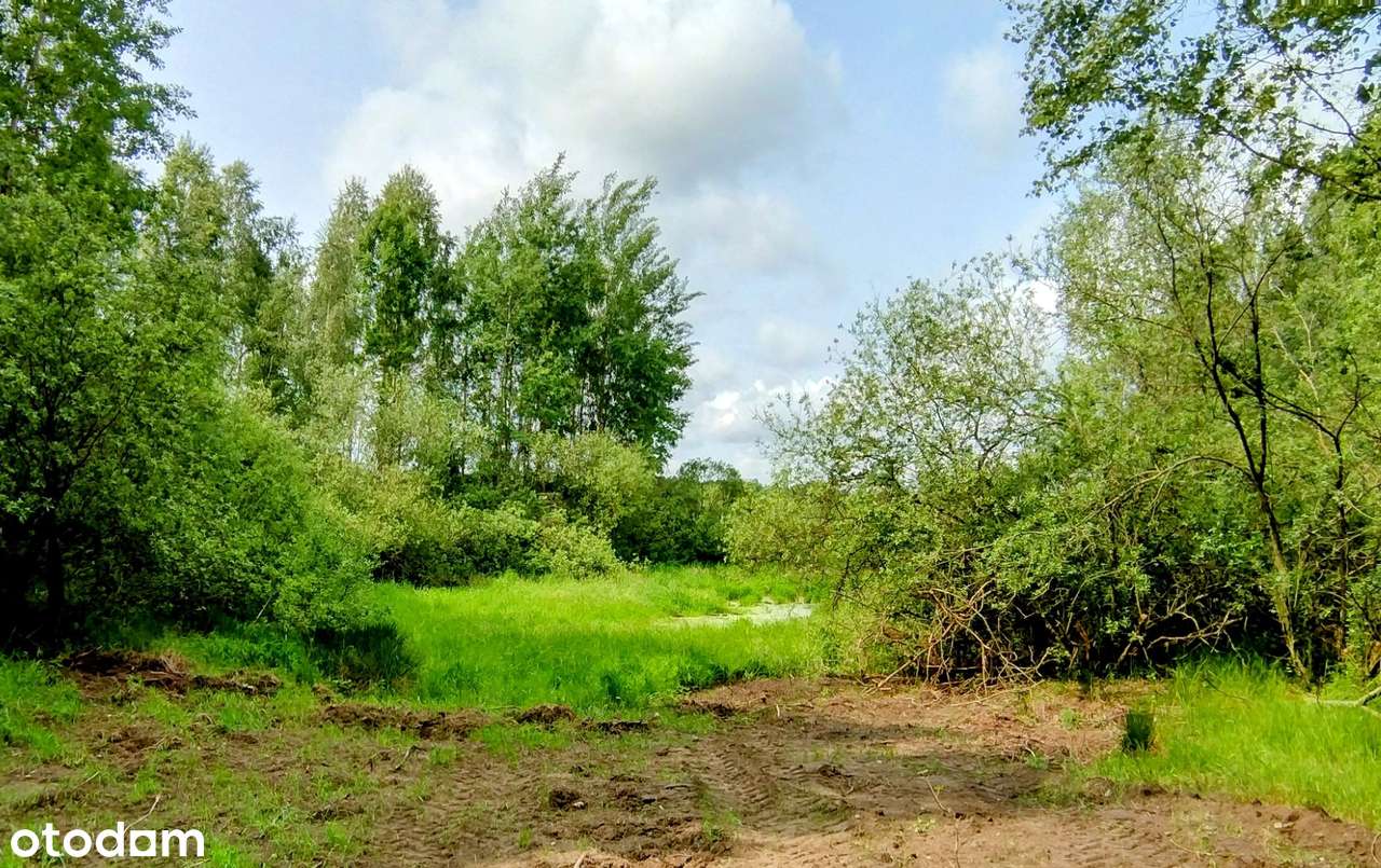 Urokliwa działka z domkiem na Kaszubach las staw cisza tylko 29 zł/m2! - Pełny obrazek: 5/5