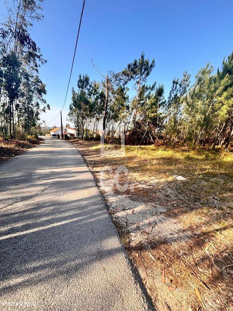 VIEIRA DE LEIRIA---Terreno com a área de 1240 m2, inserido no aglomera-5