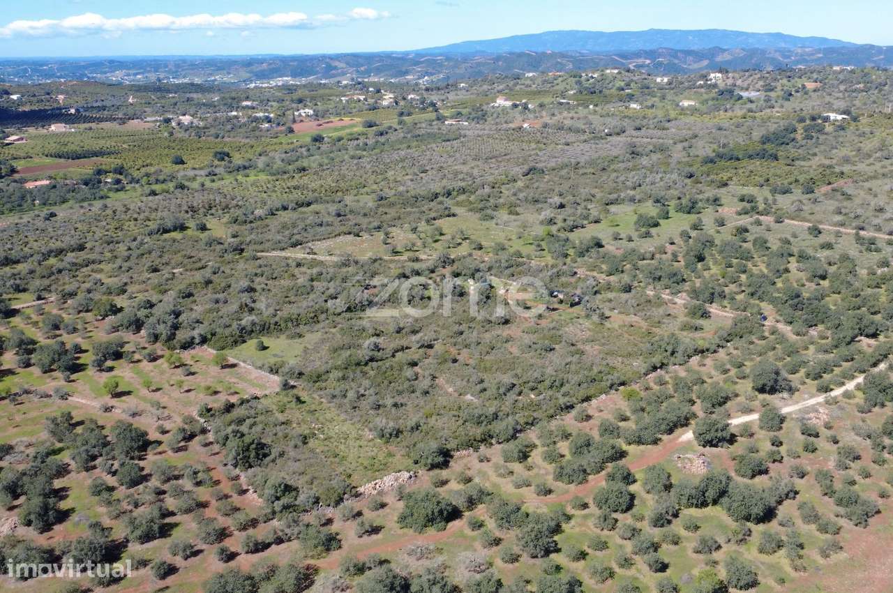 Terreno Rústico com 2.820 m² na zona da Franqueira - Grande imagem: 5/15