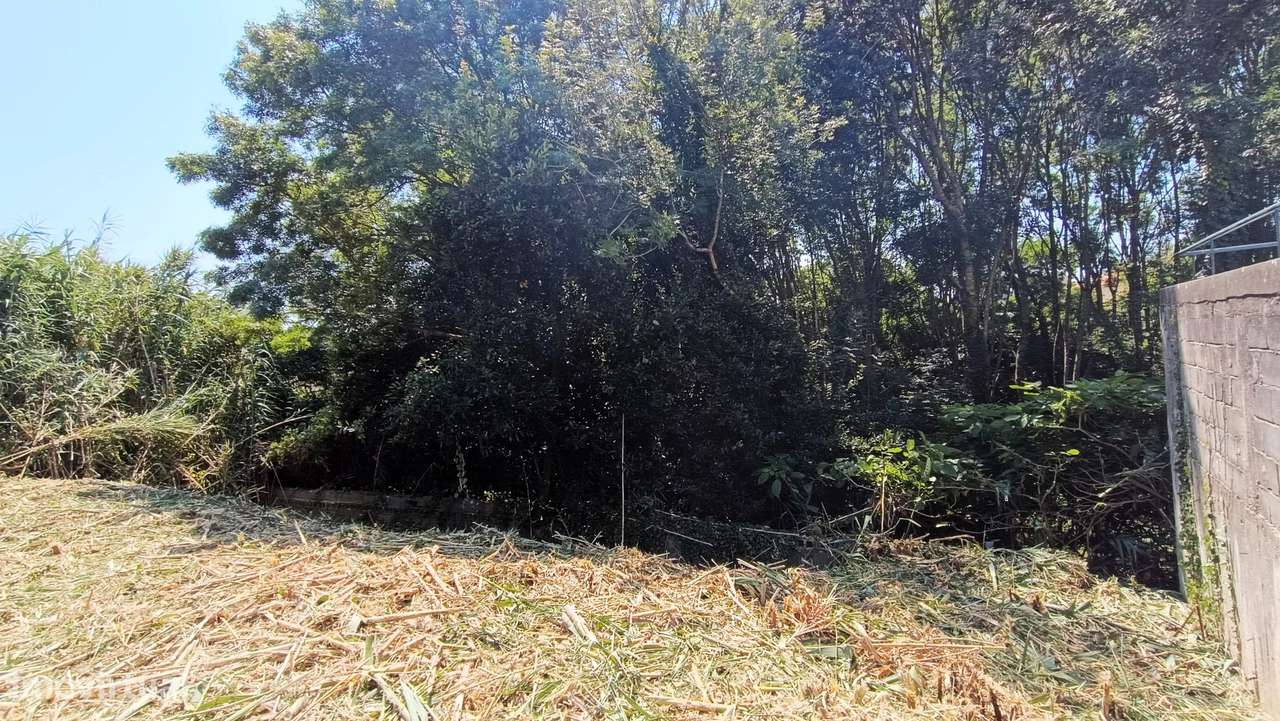 Lote c/387m2, p/Construção Moradia c/344m2-10